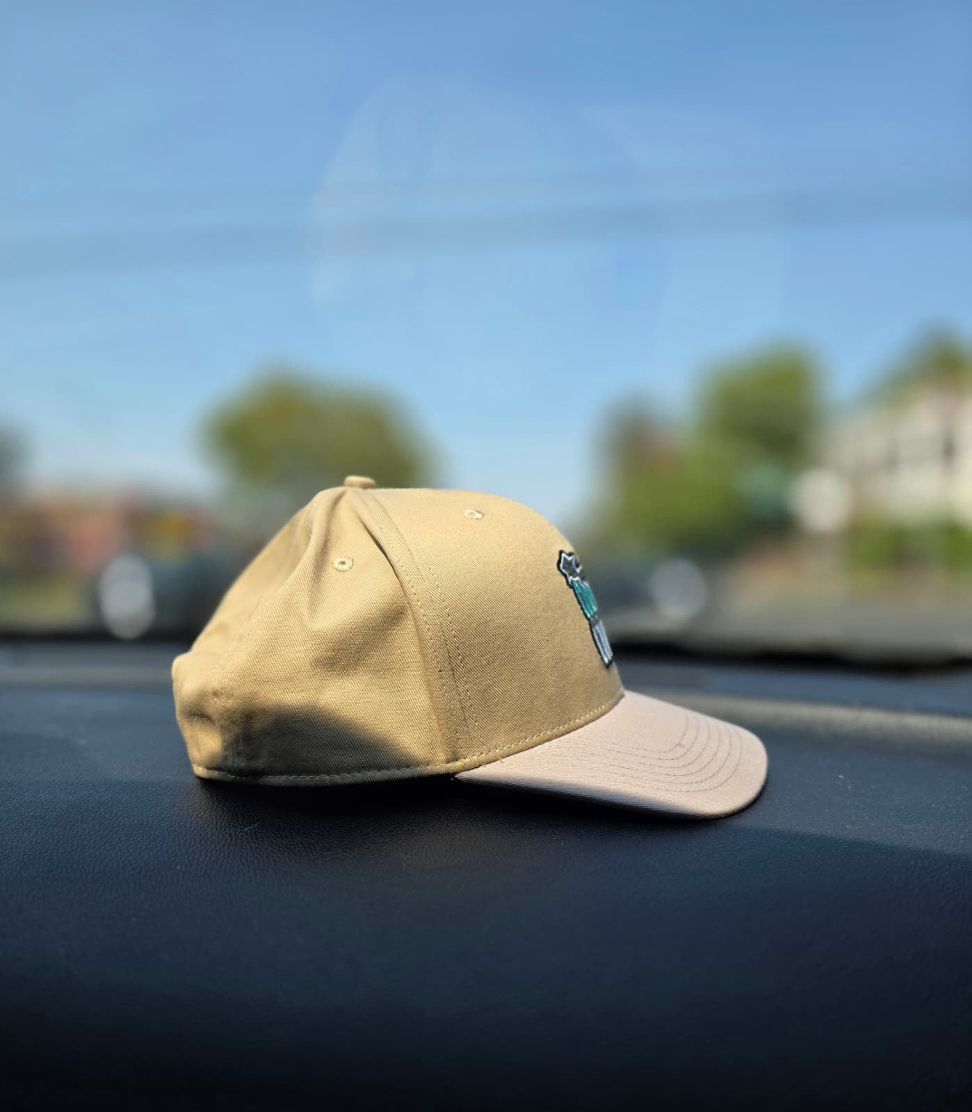 Country Coolin  Two Tone SnapBack