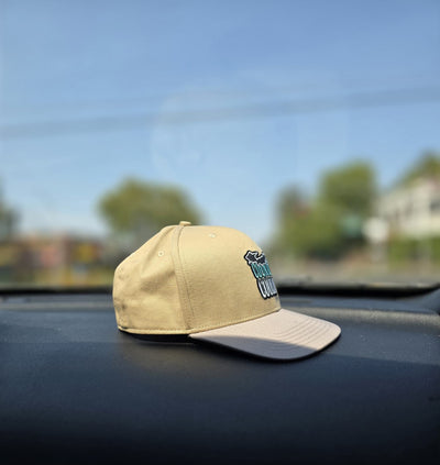 Country Coolin  Two Tone SnapBack